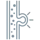 neurorradiologista intervencionista